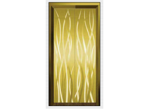 湖南電梯門(mén)-電梯廳門(mén)L604